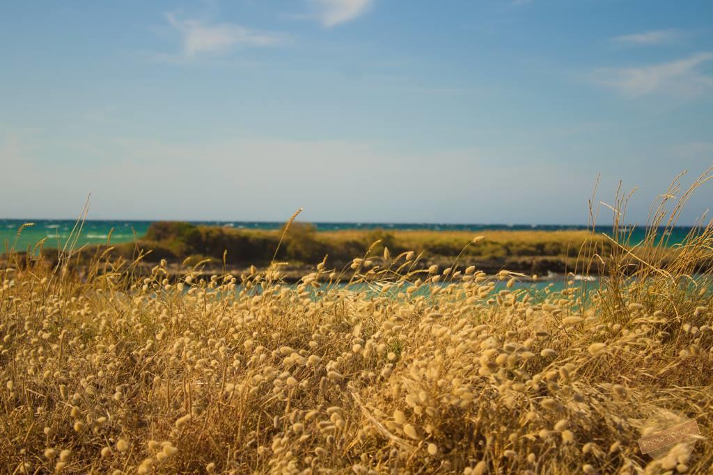 Borgo Degli Artisti Villa Ostuni Dış mekan fotoğraf